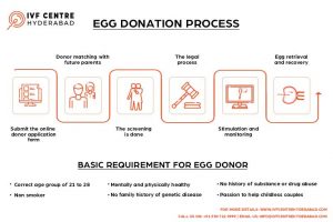 Egg Donation Process