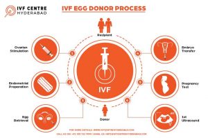 What is Egg Donation and How Does it Work?